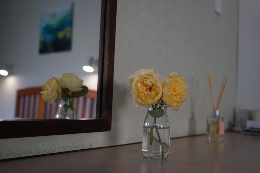 Tui Lodge Motel Christchurch Zewnętrze zdjęcie